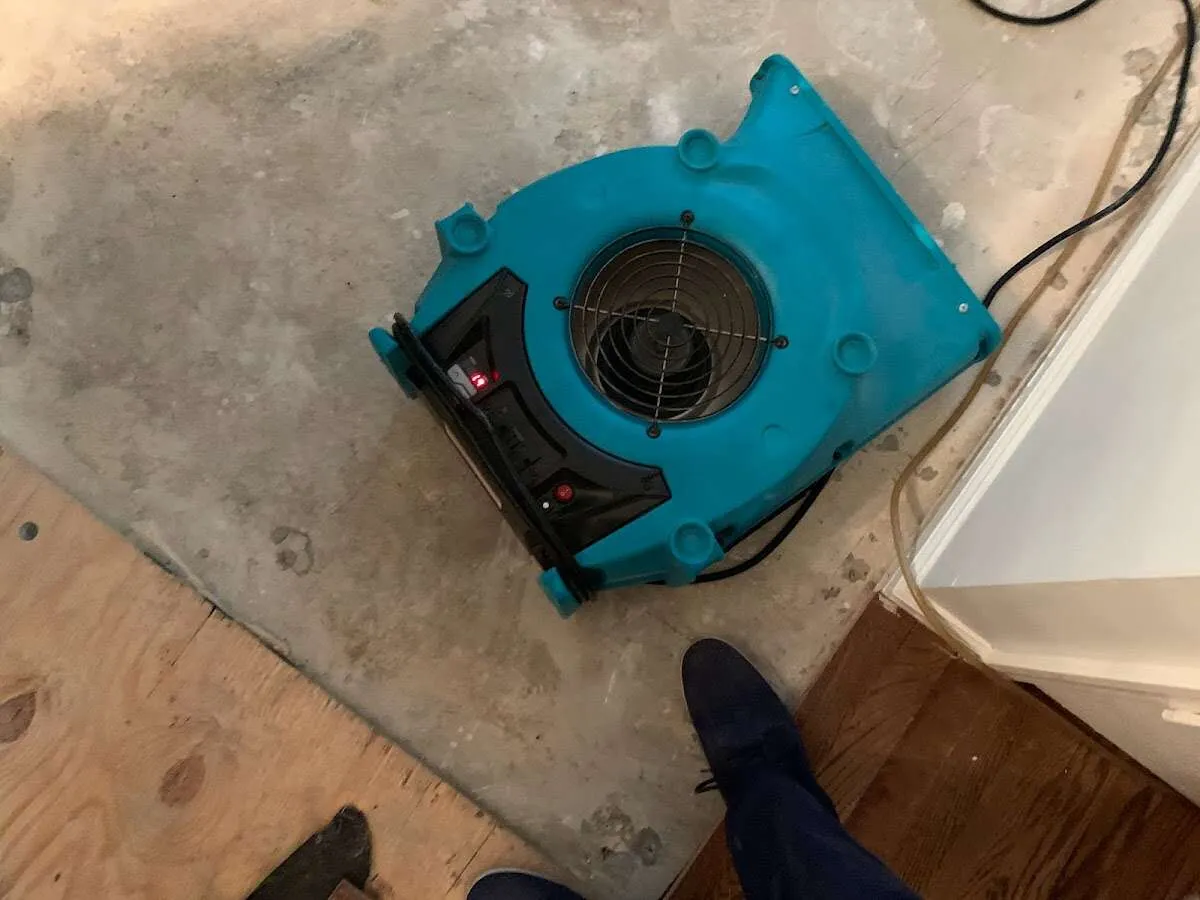 Air mover drying subfloor during Leak Detection & Repair in Orchard Park